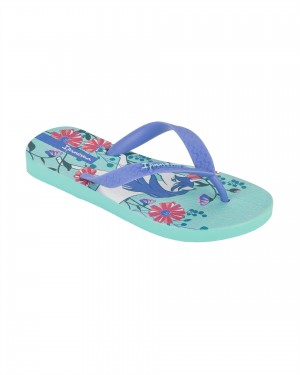 Ipanema Temas Infradito Bambino Verdi Blu Rosa | IYAC20318